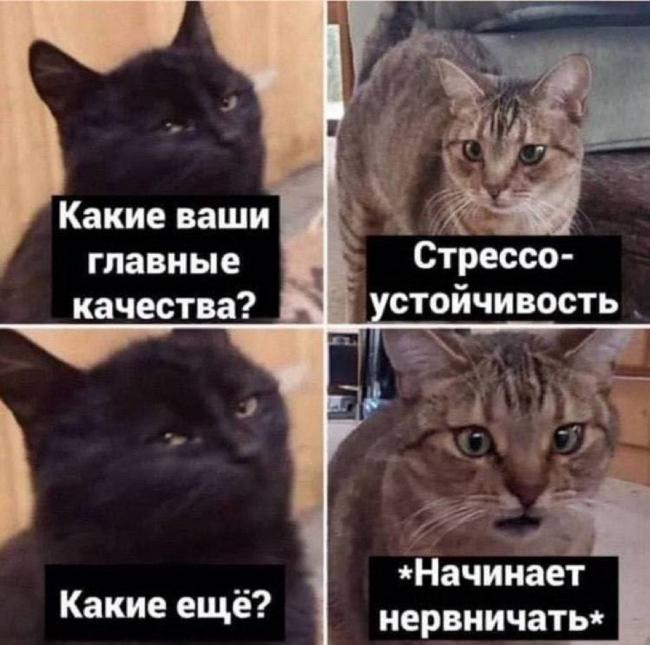 mem