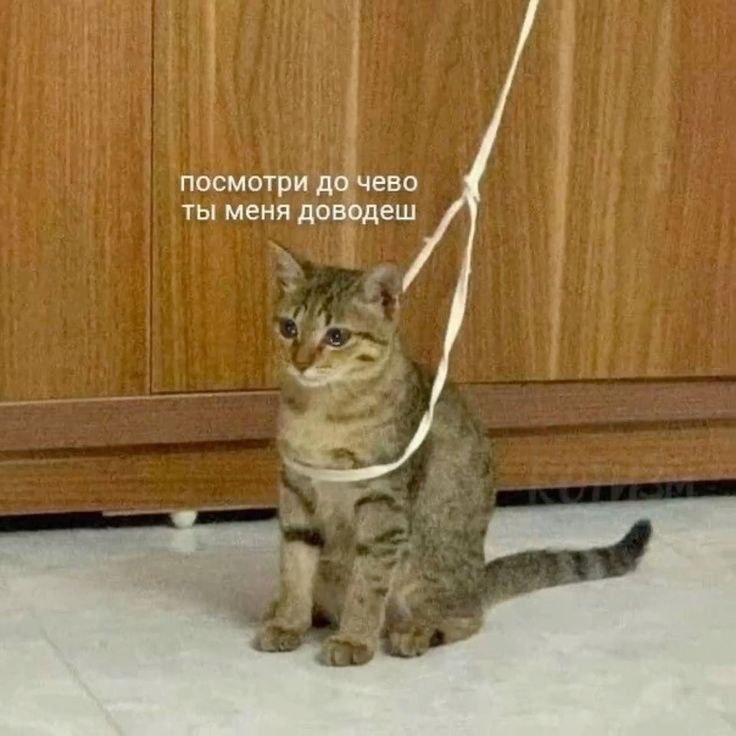 mem